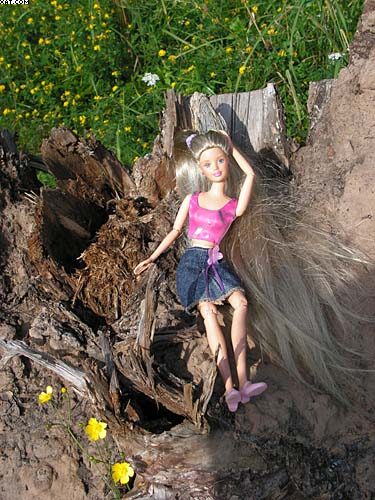      2008