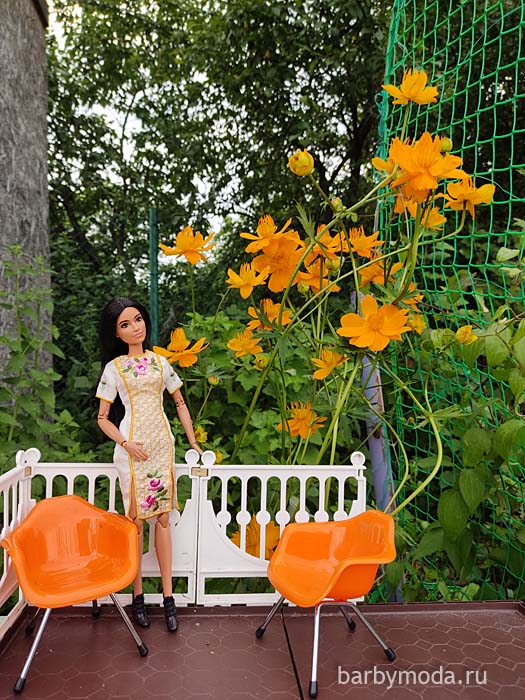 ������� ������ ��� ����������� ����� 25