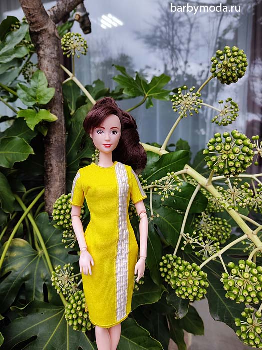 ������� ������ ��� ����������� ����� 28