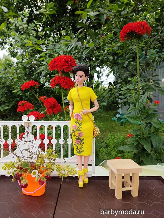 ������� ������ ��� �����-������� 6