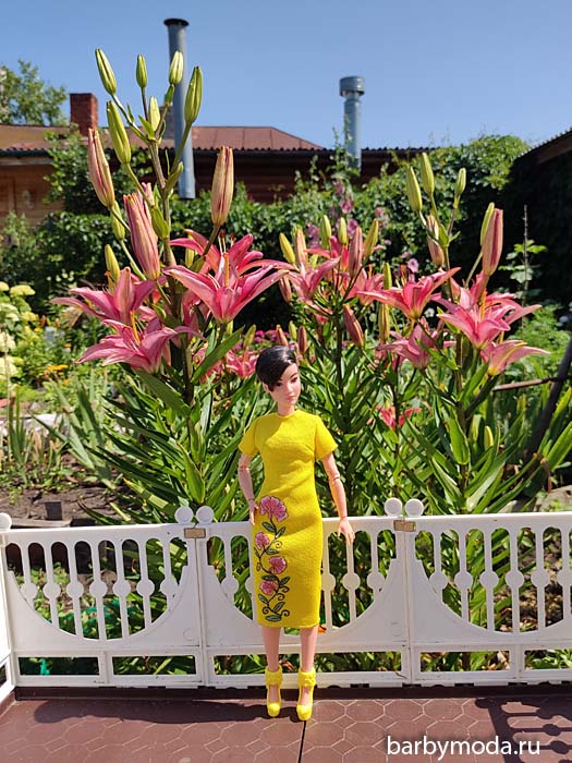 ������� ������ ��� �����-������� 6