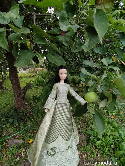 ������� ������ ��� ��������