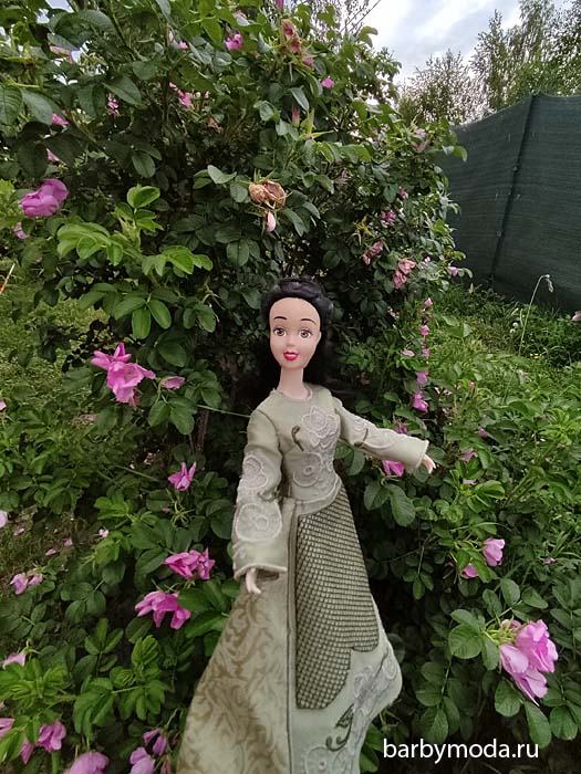 ������� ������ ��� ��������