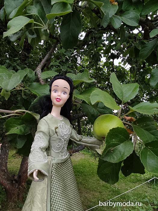 ������� ������ ��� ��������