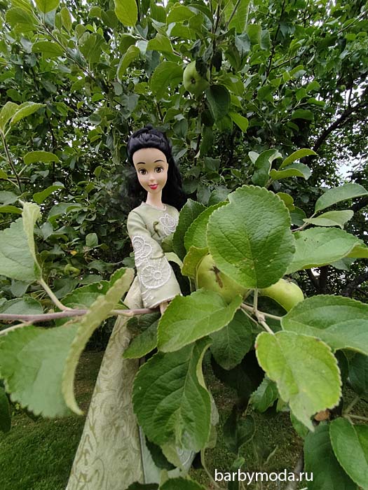 ������� ������ ��� ��������