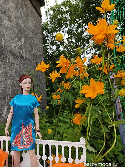 ������� ������ ��� �� �����-����� 14