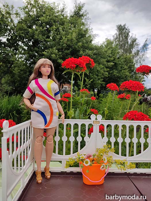 ������� ������ ��� �� �����-����� 12