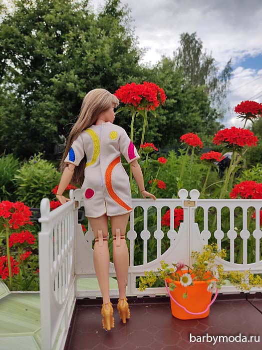 ������� ������ ��� �� �����-����� 12