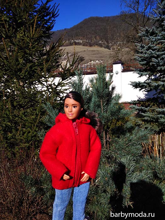 ��������