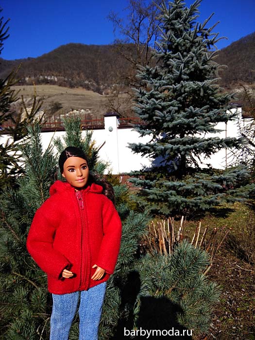 ��������