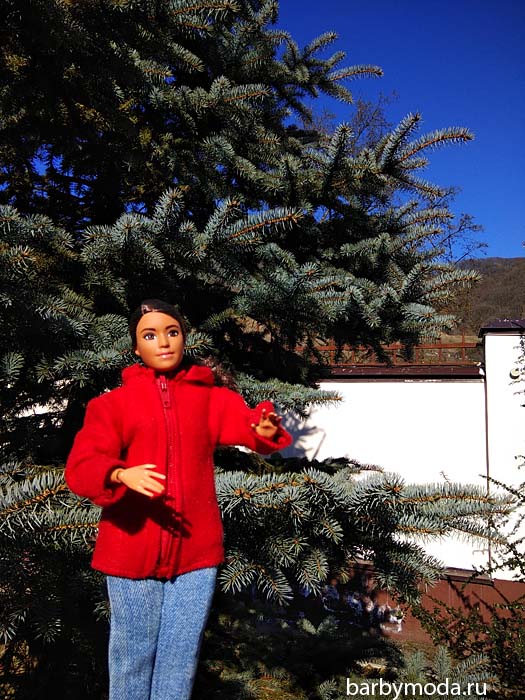 ��������