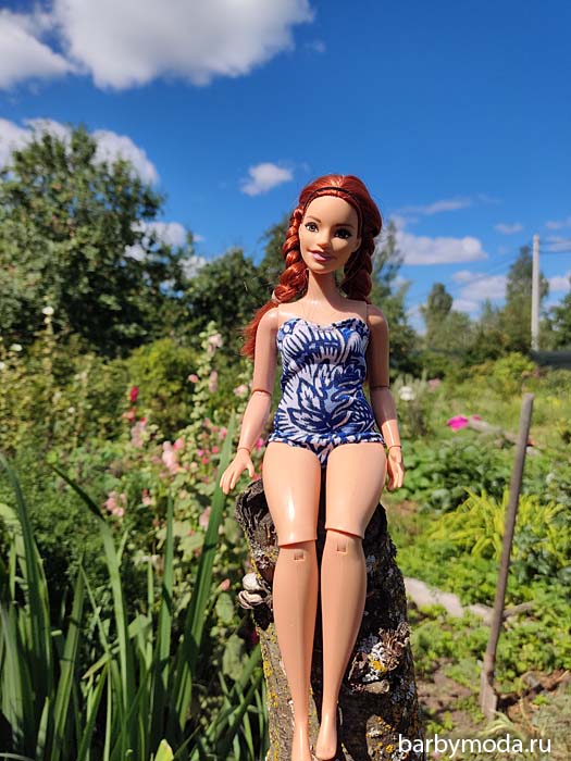 ����������