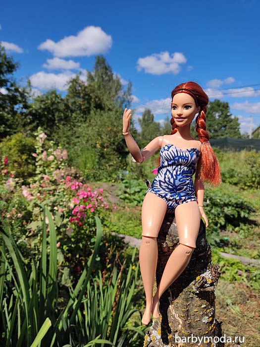 ����������